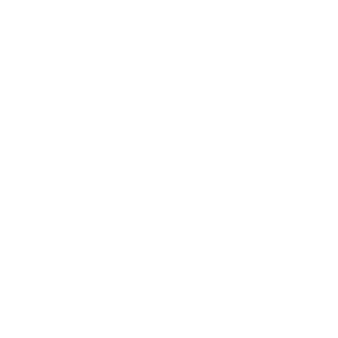 TheSouthernDream